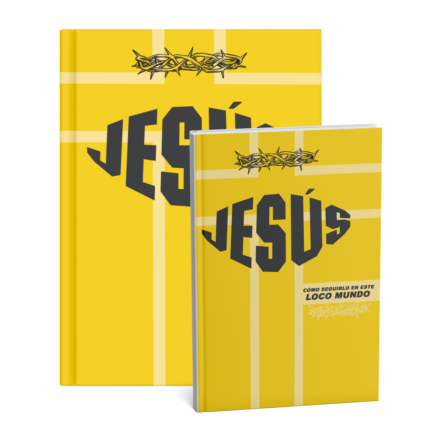 Jesús, cómo seguirlo en este loco mundo