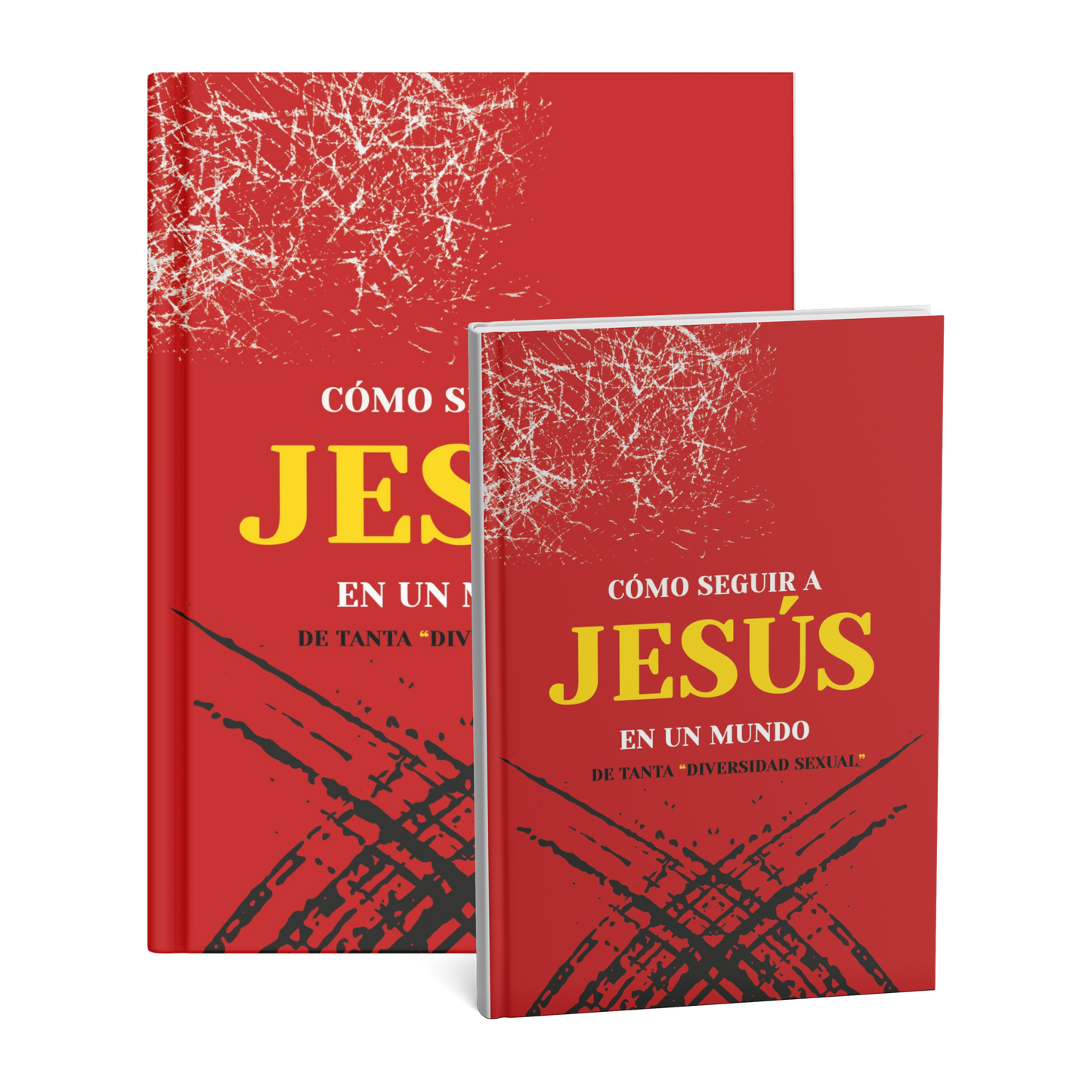 Como Seguir a Jesús en un mundo de tanta Diversidad Sexual