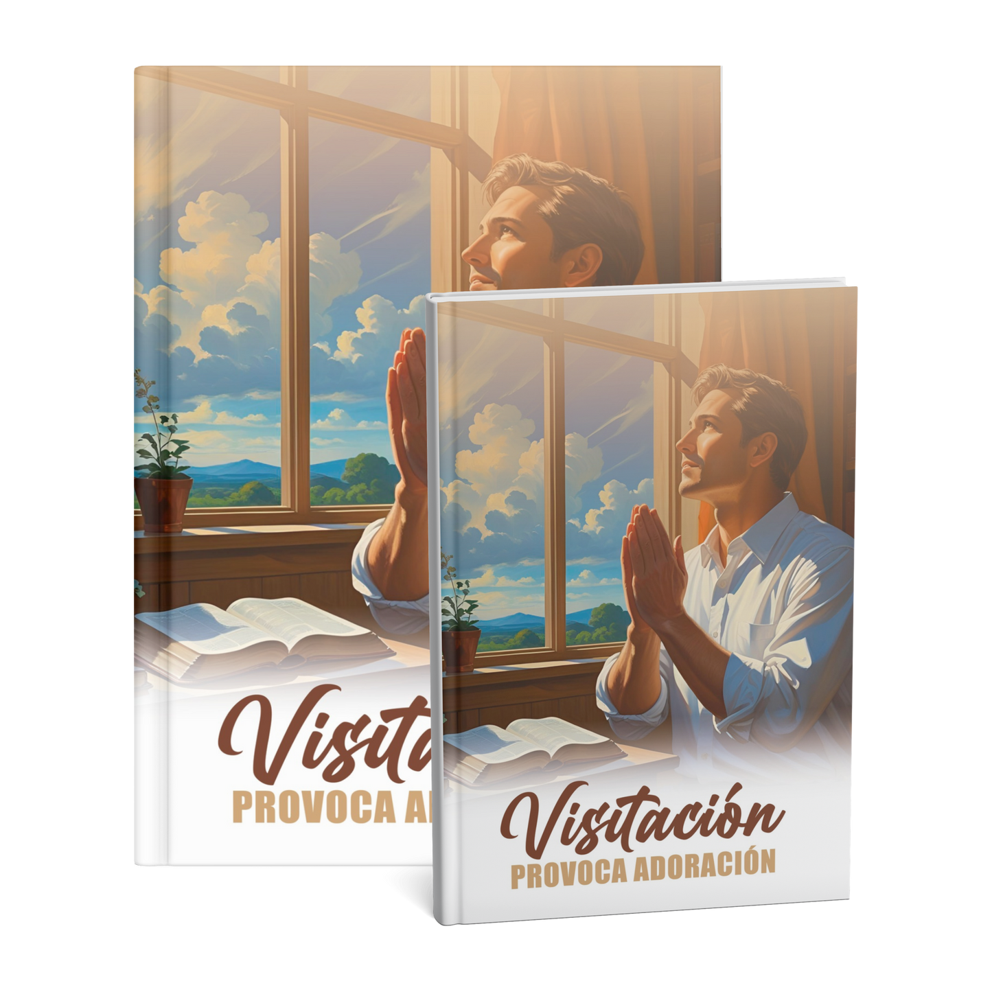 Una Visitación provoca Adoración