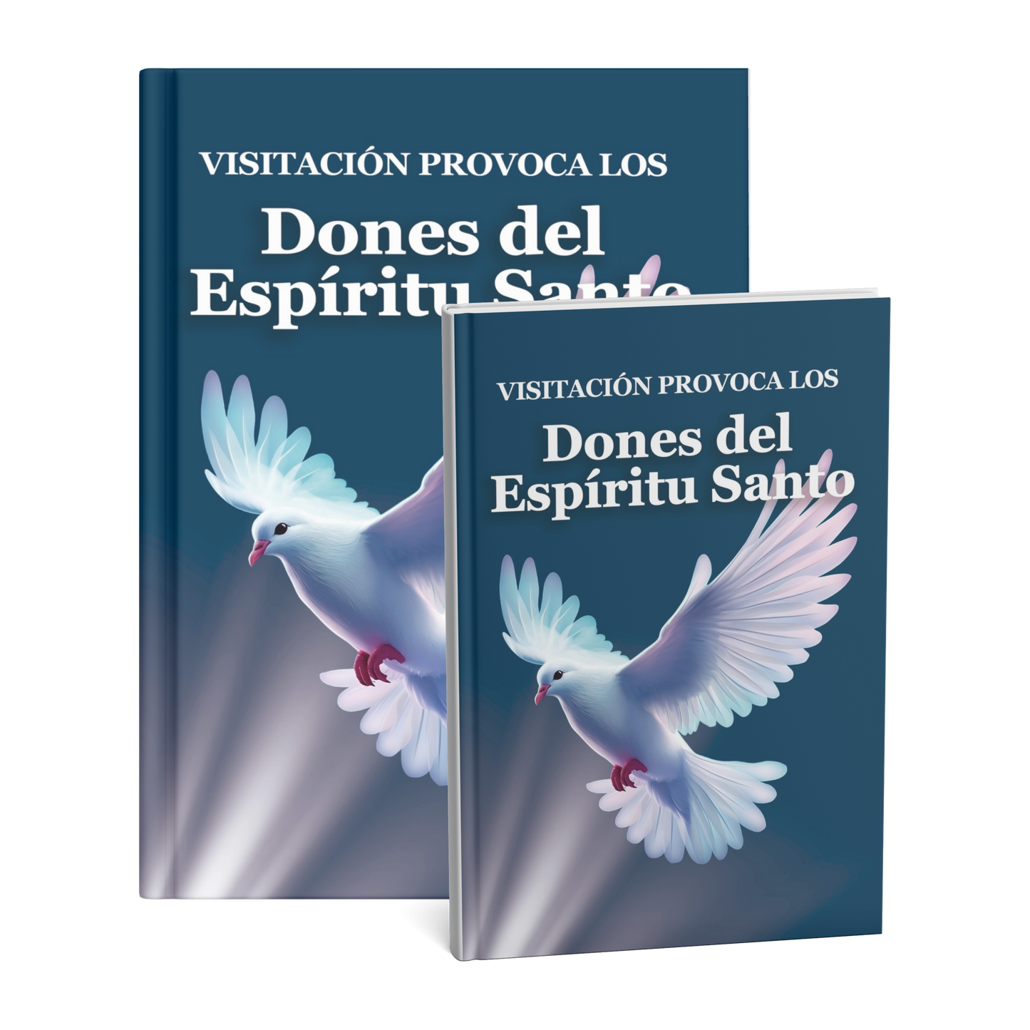 Una visitación provoca los Dones del Espíritu Santo