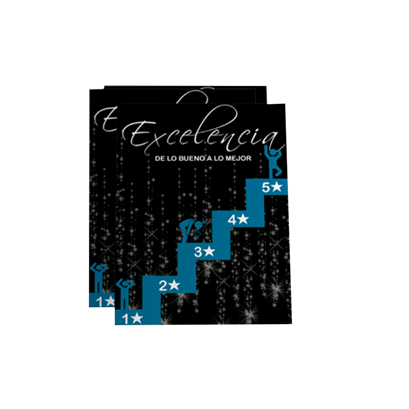 Excelencia