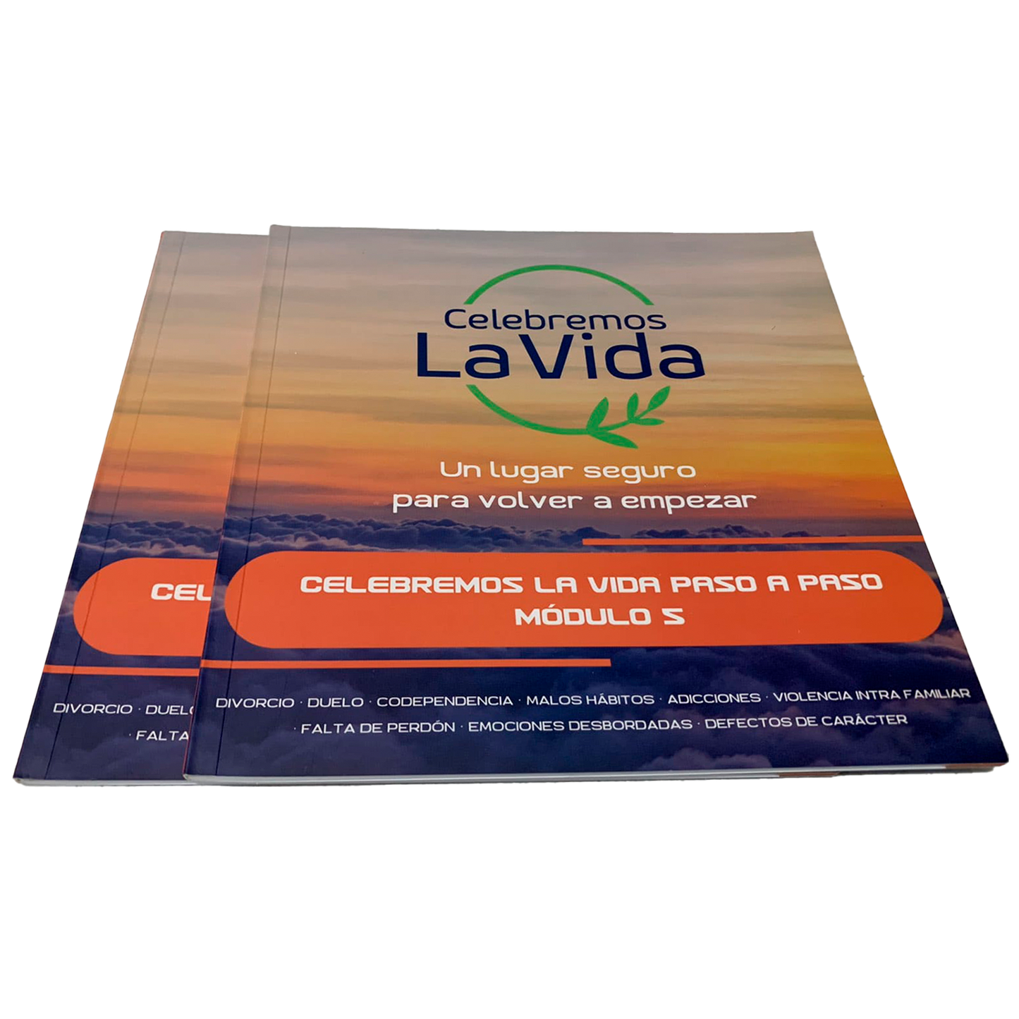 Libro Módulo 5