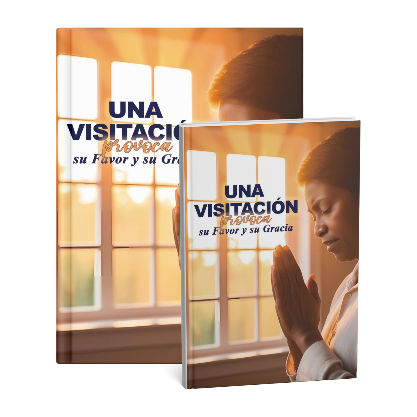 Una Visitación provoca su Favor y su Gracia
