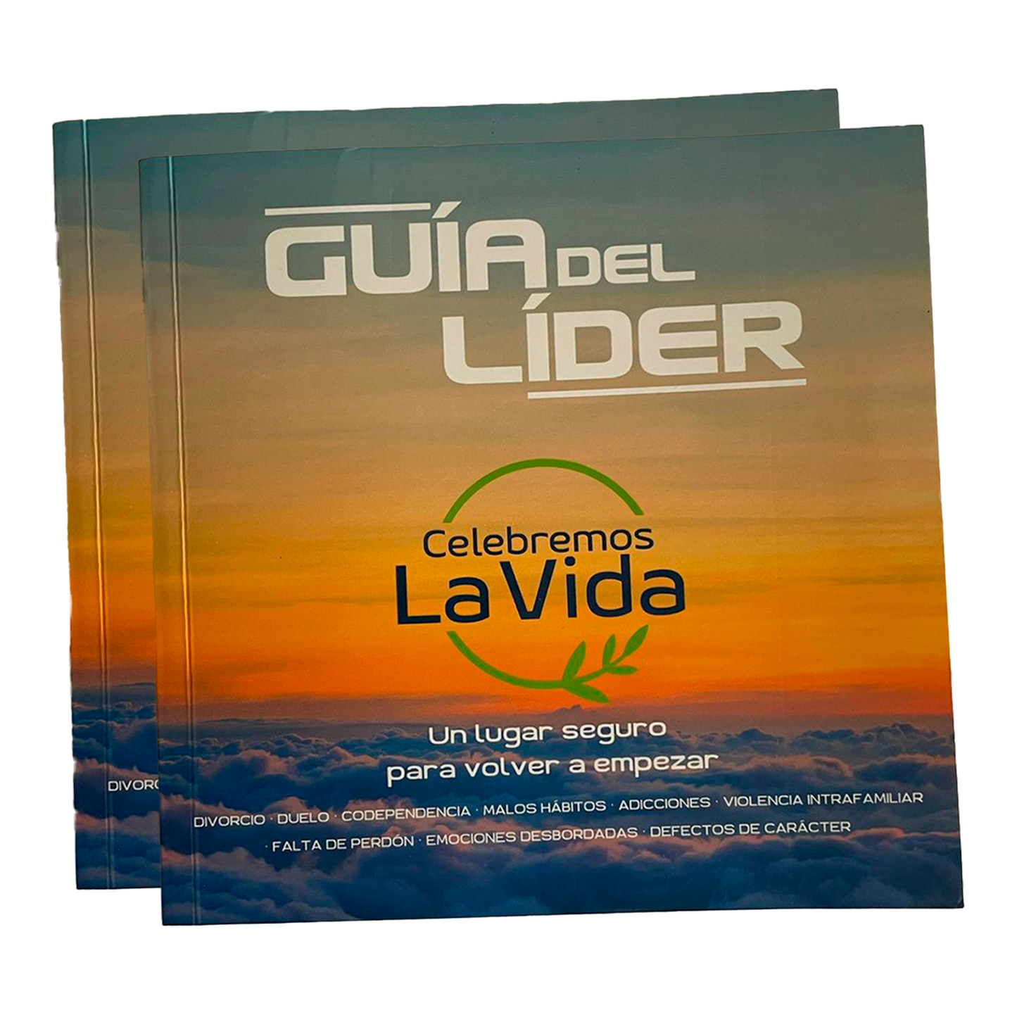 Guía del Líder