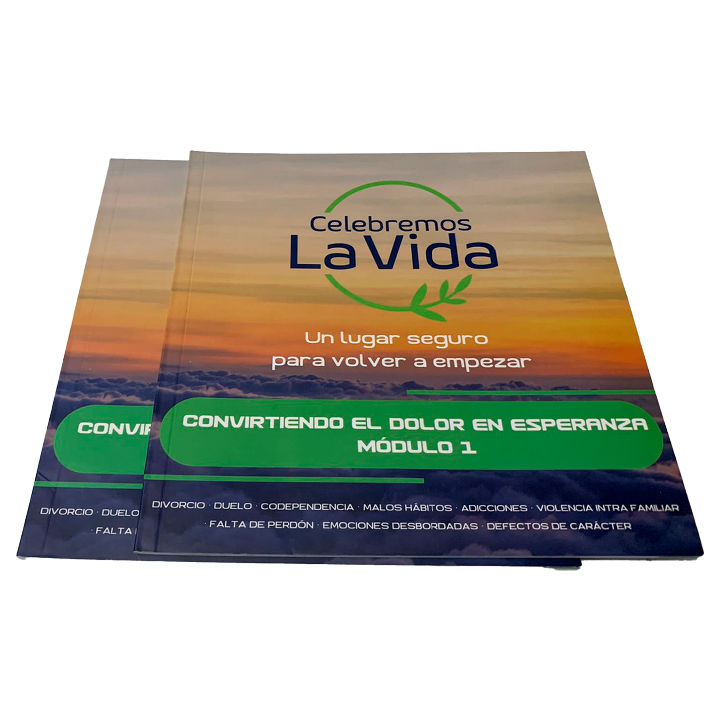 Libro Módulo 1