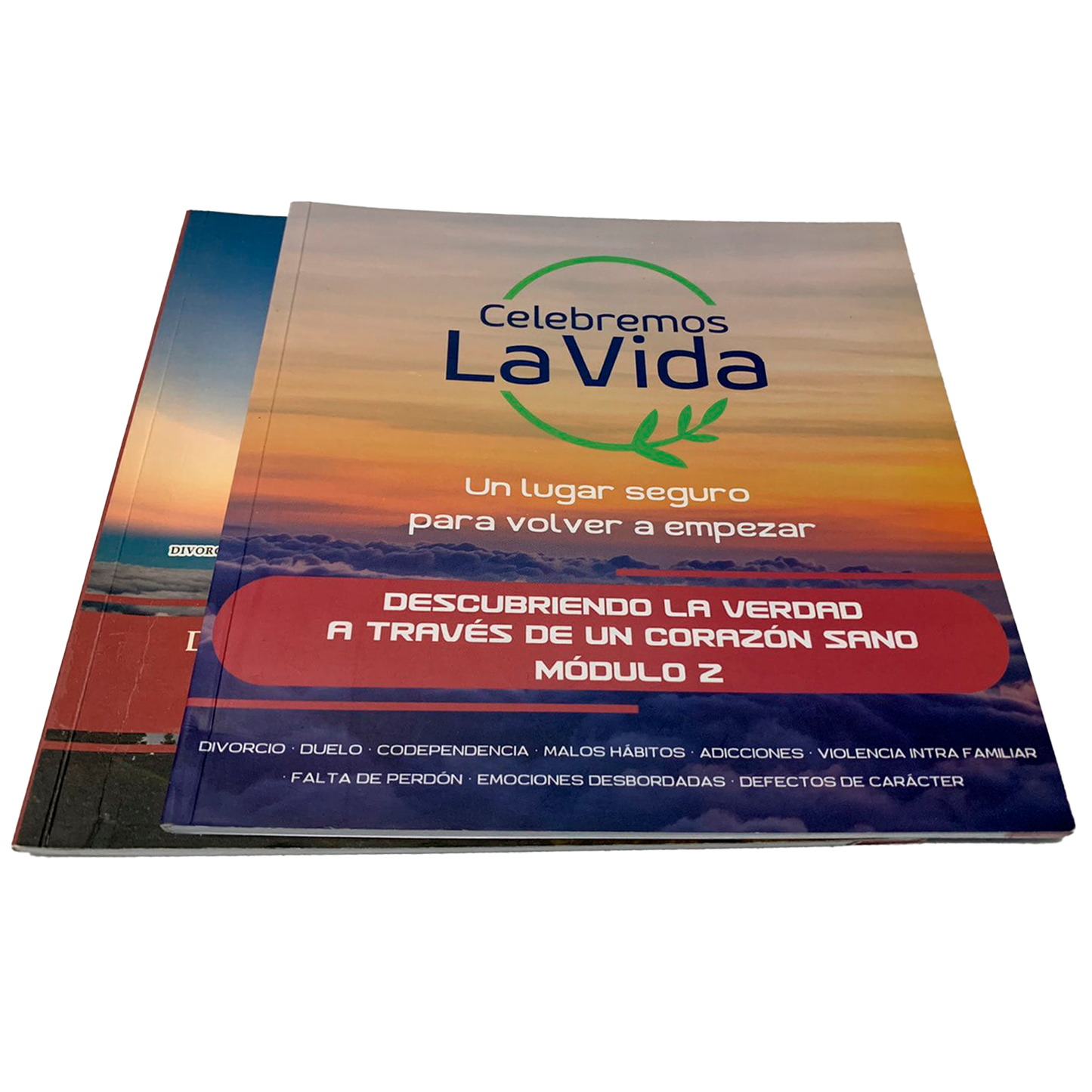 Libro Módulo 2