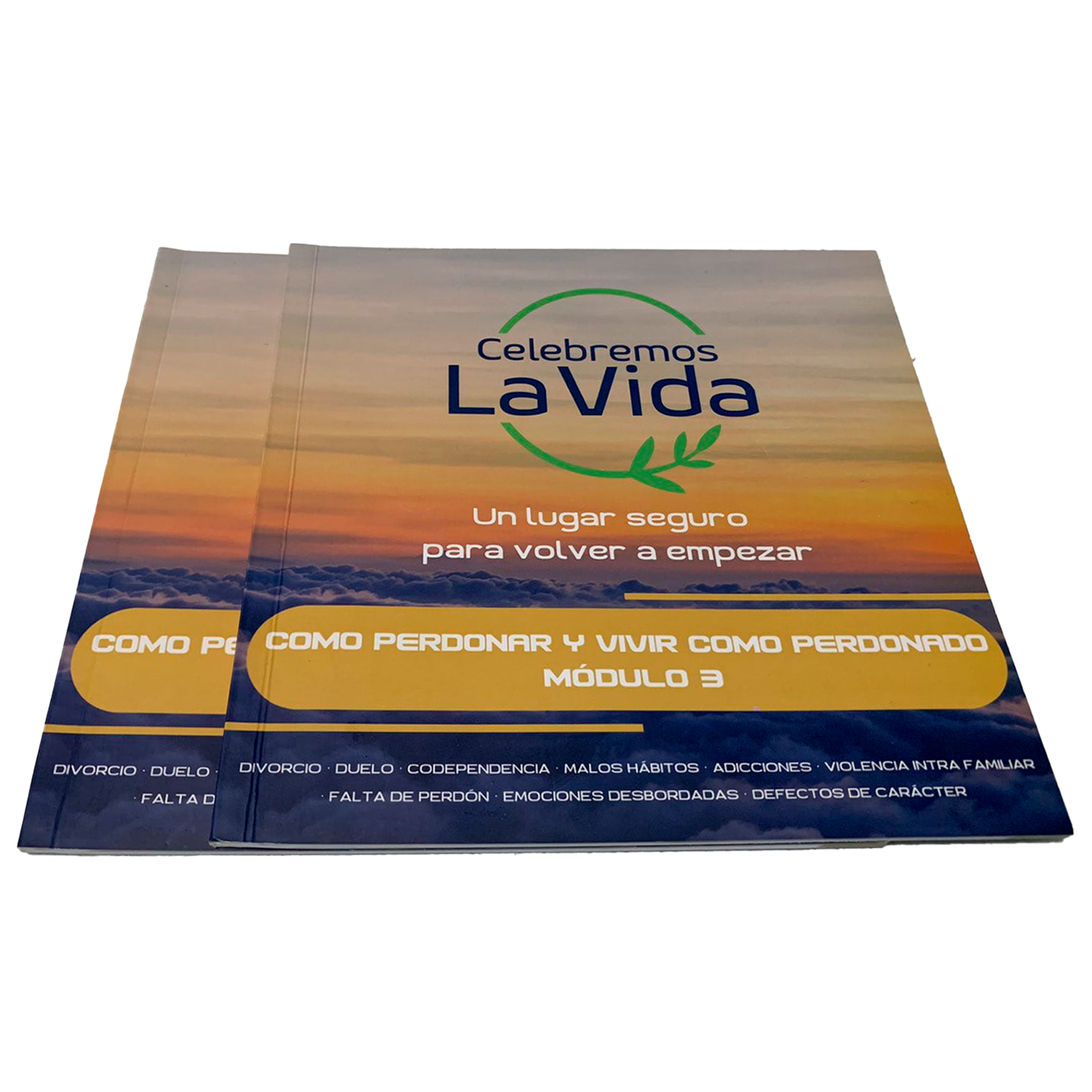 Libro Módulo 3